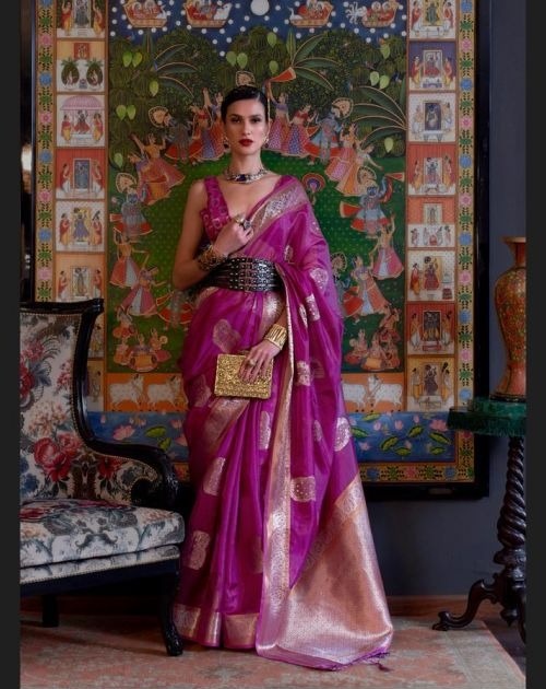 Rajtex Kabinni Organza Nx Designer Handloom Saree