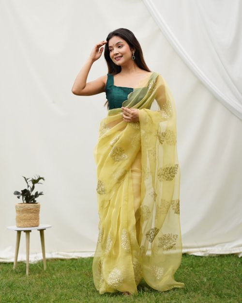 Vidhya Fancy Party Wear Organza Sequence Saree Collection