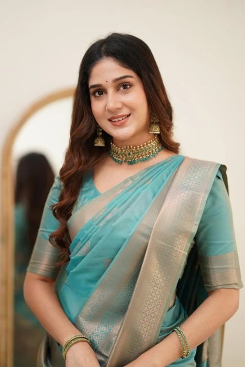 Banarasi 4011 Latest Banarasi Silk Saree Collection