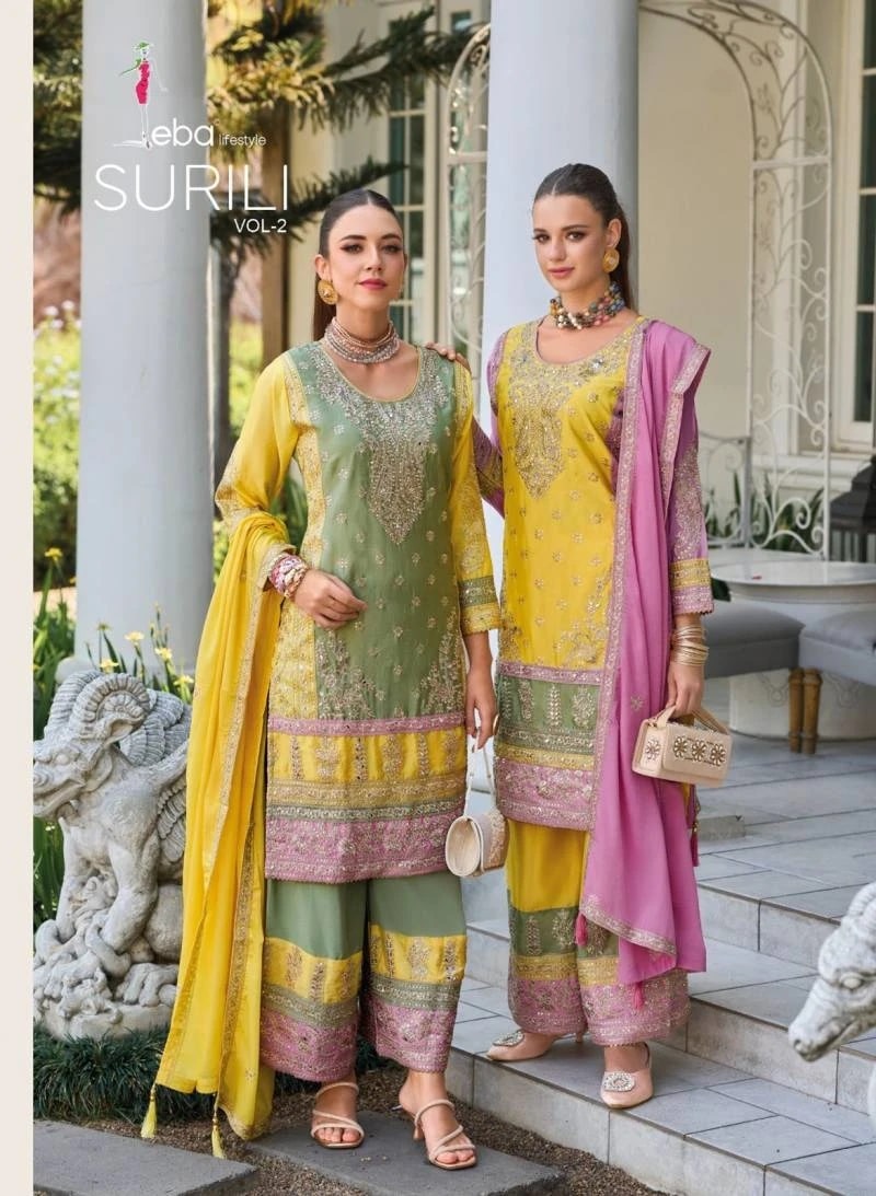 Eba Surili Vol 2 Chinon Designer Emboidery Work Readymade Dress