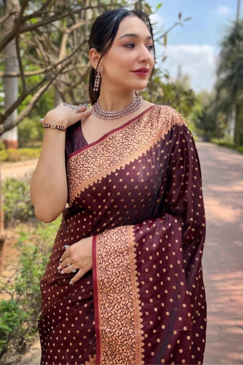 Aab Radha Soft Banarasi Lichi Silk Saree Collection