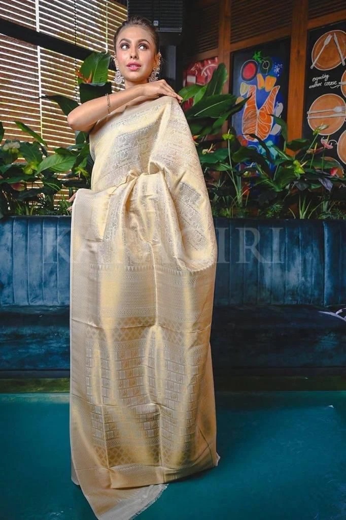 Soft Silk 5054 Soft Lichi Silk Beautiful Saree