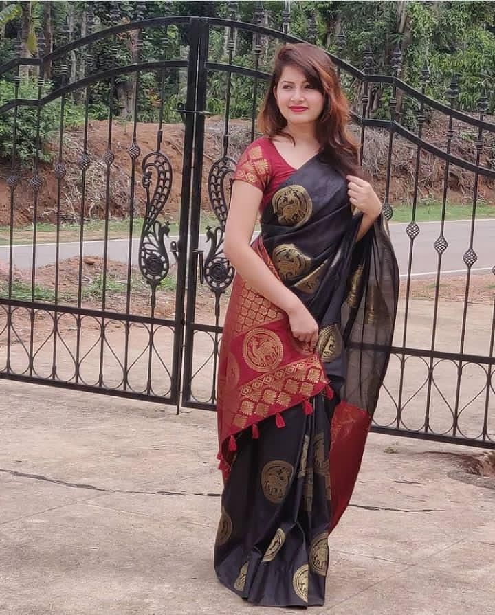 Soft Lichi 2008 Banarasi Silk Saree Collection